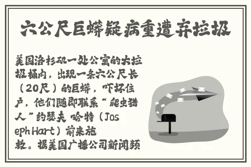 2019香蕉视频在线观看